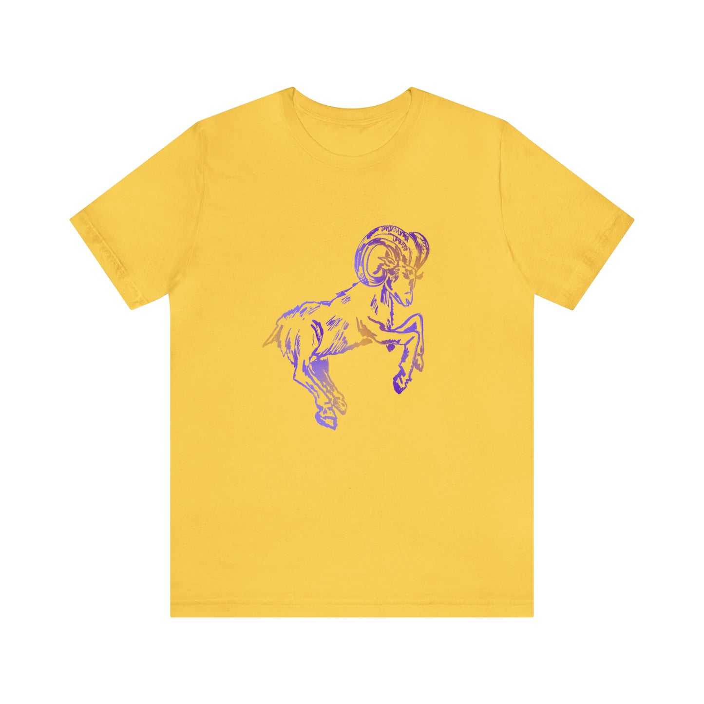 summer t-shirt aries