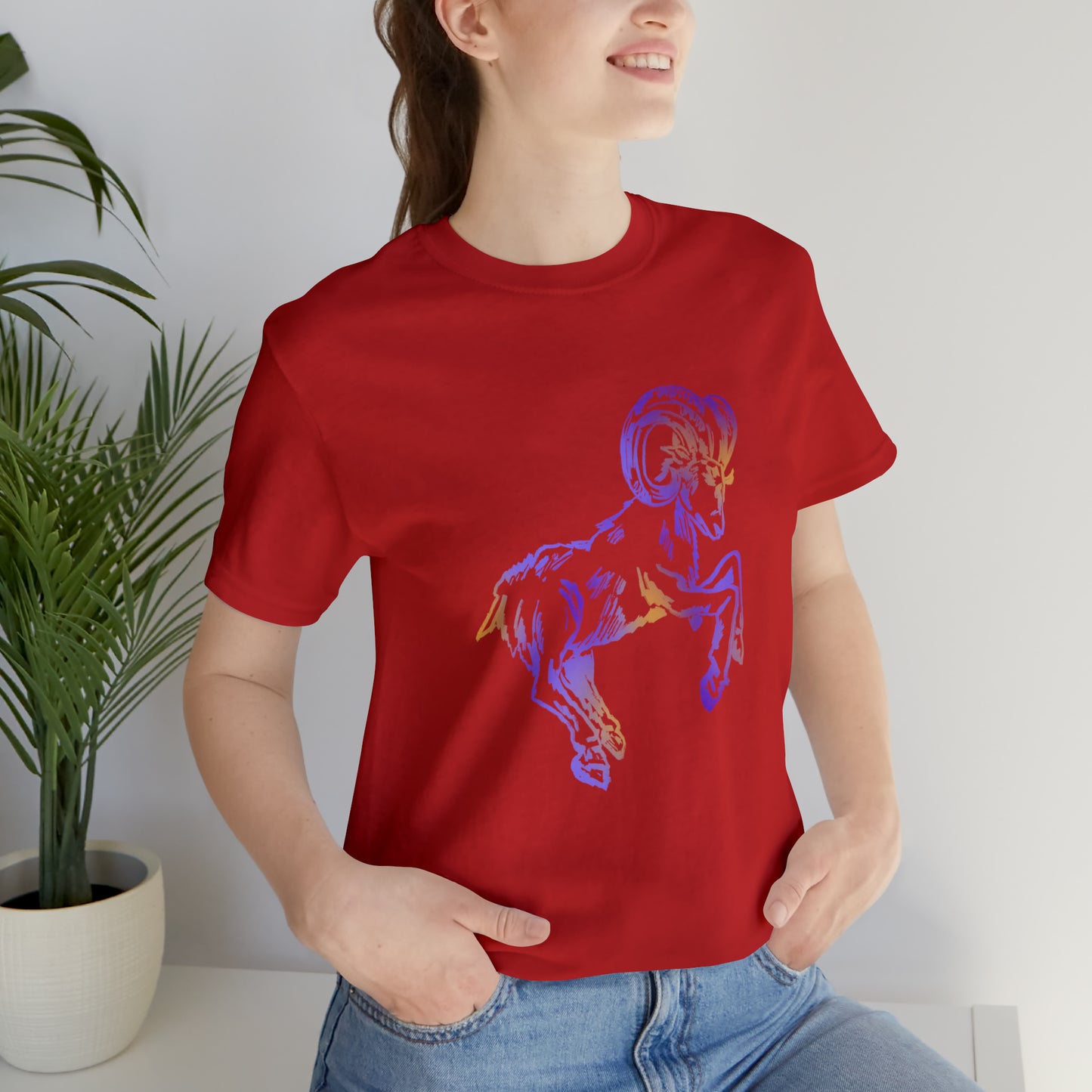 summer t-shirt aries