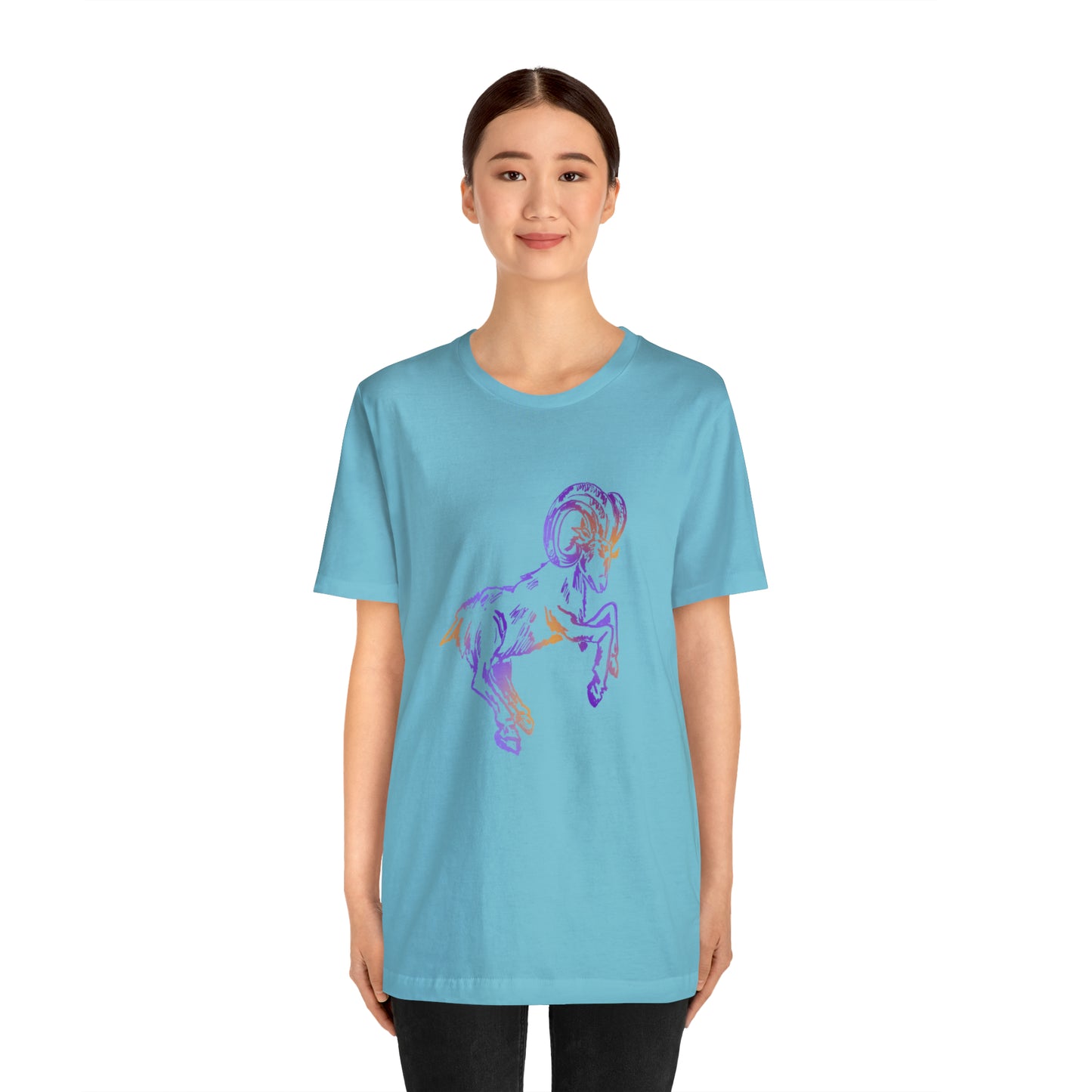 summer t-shirt aries
