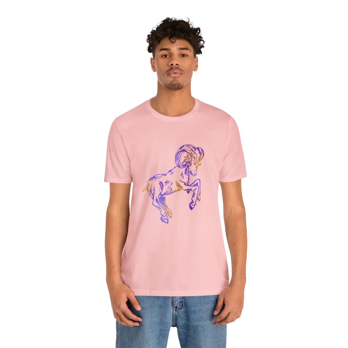 summer t-shirt aries
