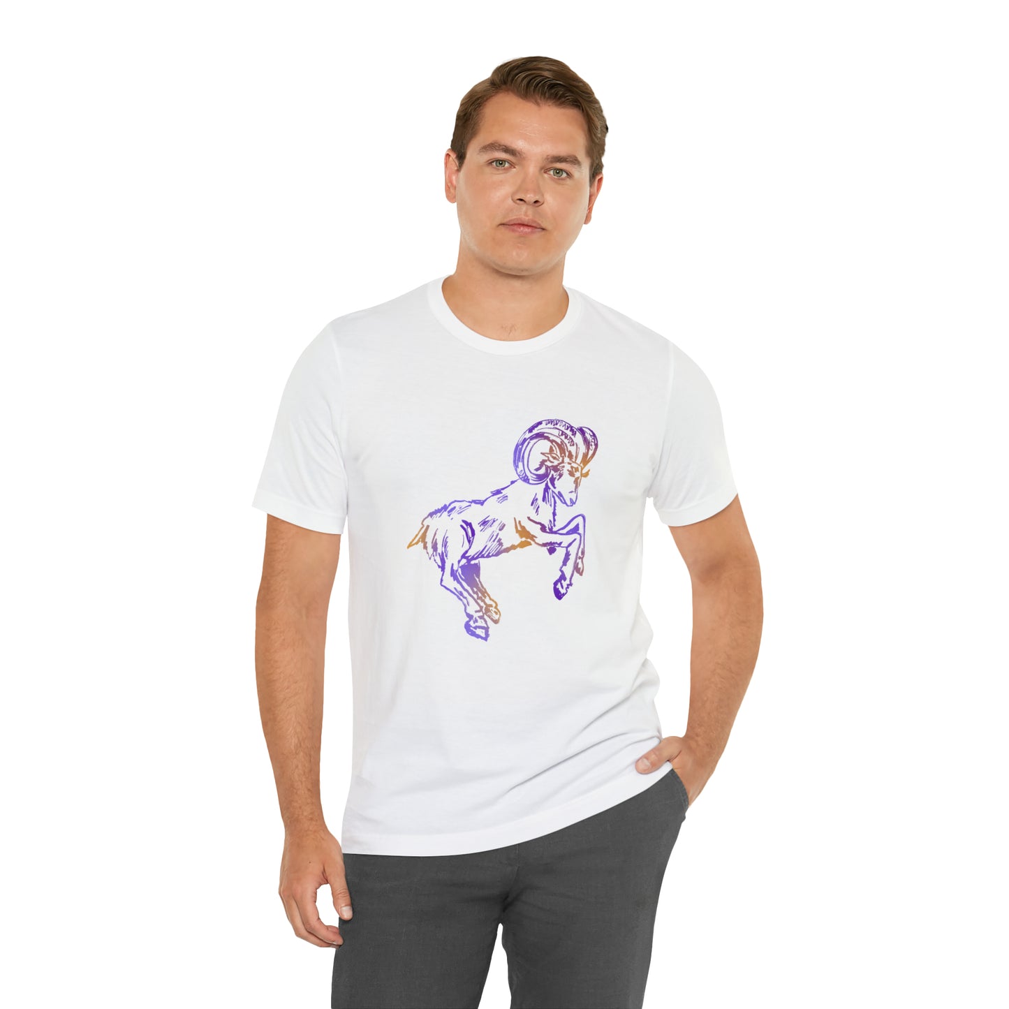summer t-shirt aries