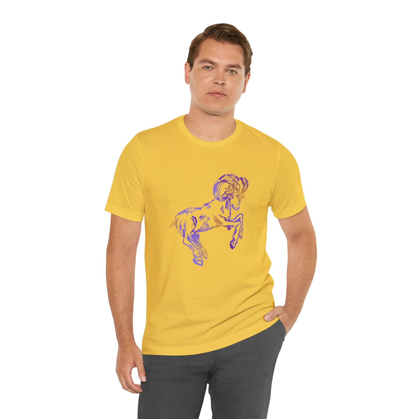 summer t-shirt aries