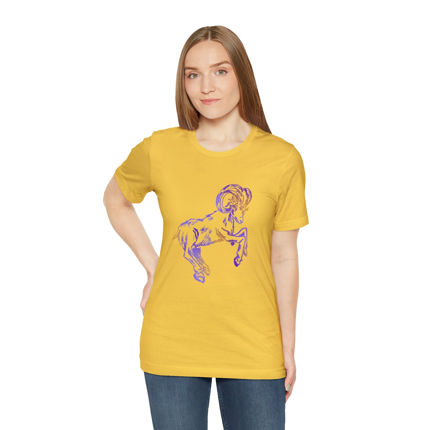 summer t-shirt aries