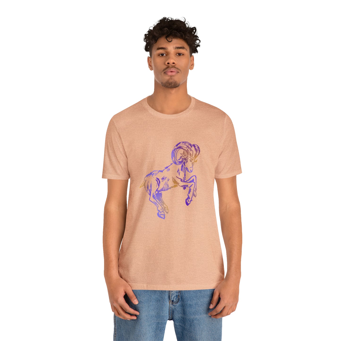 summer t-shirt aries