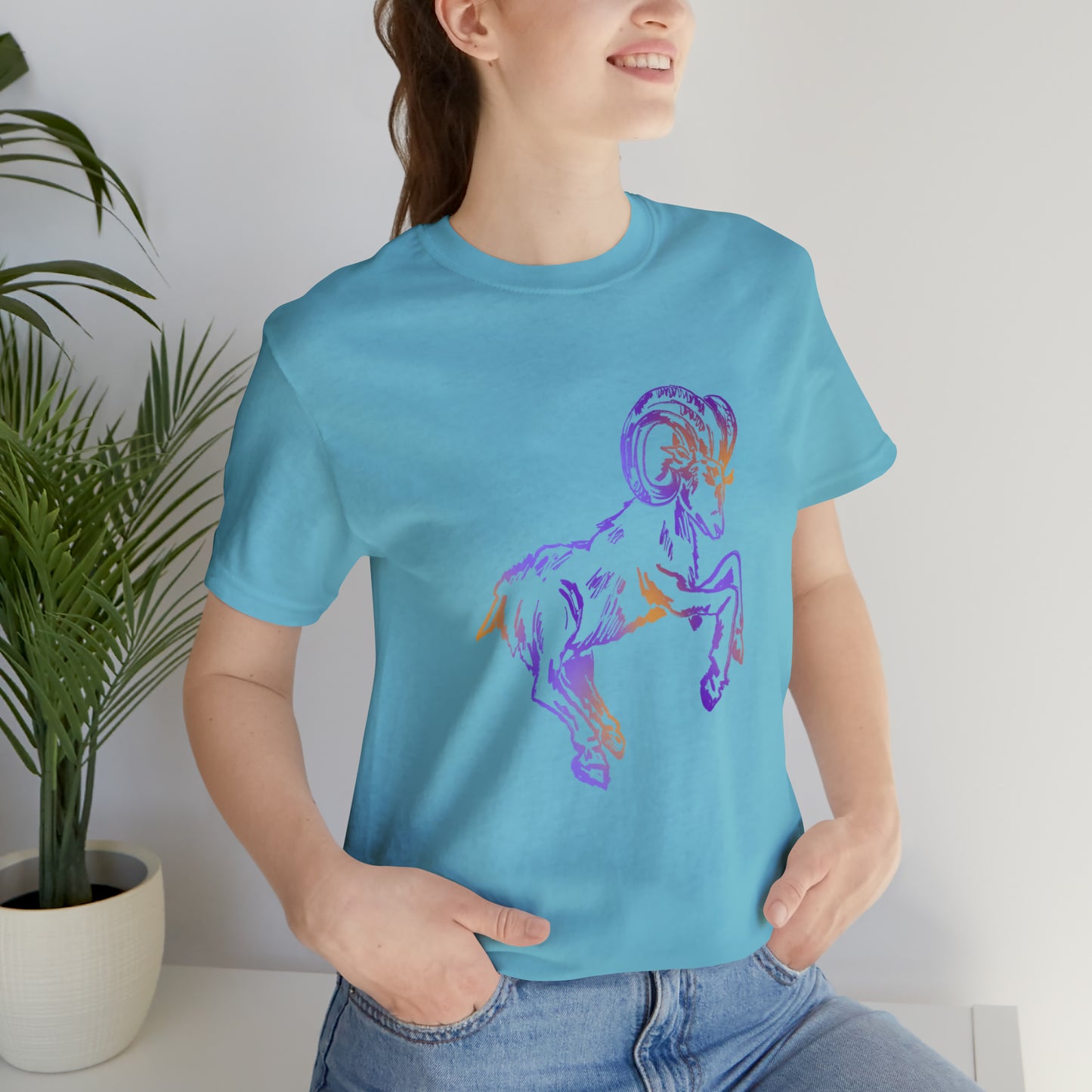 summer t-shirt aries
