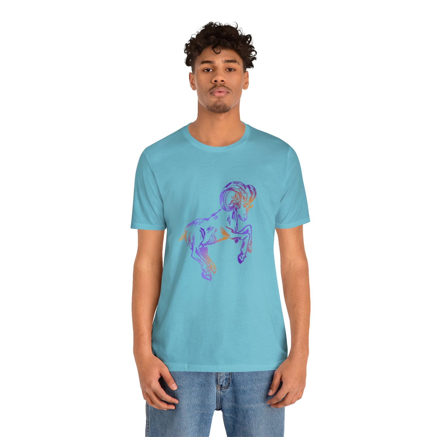 summer t-shirt aries