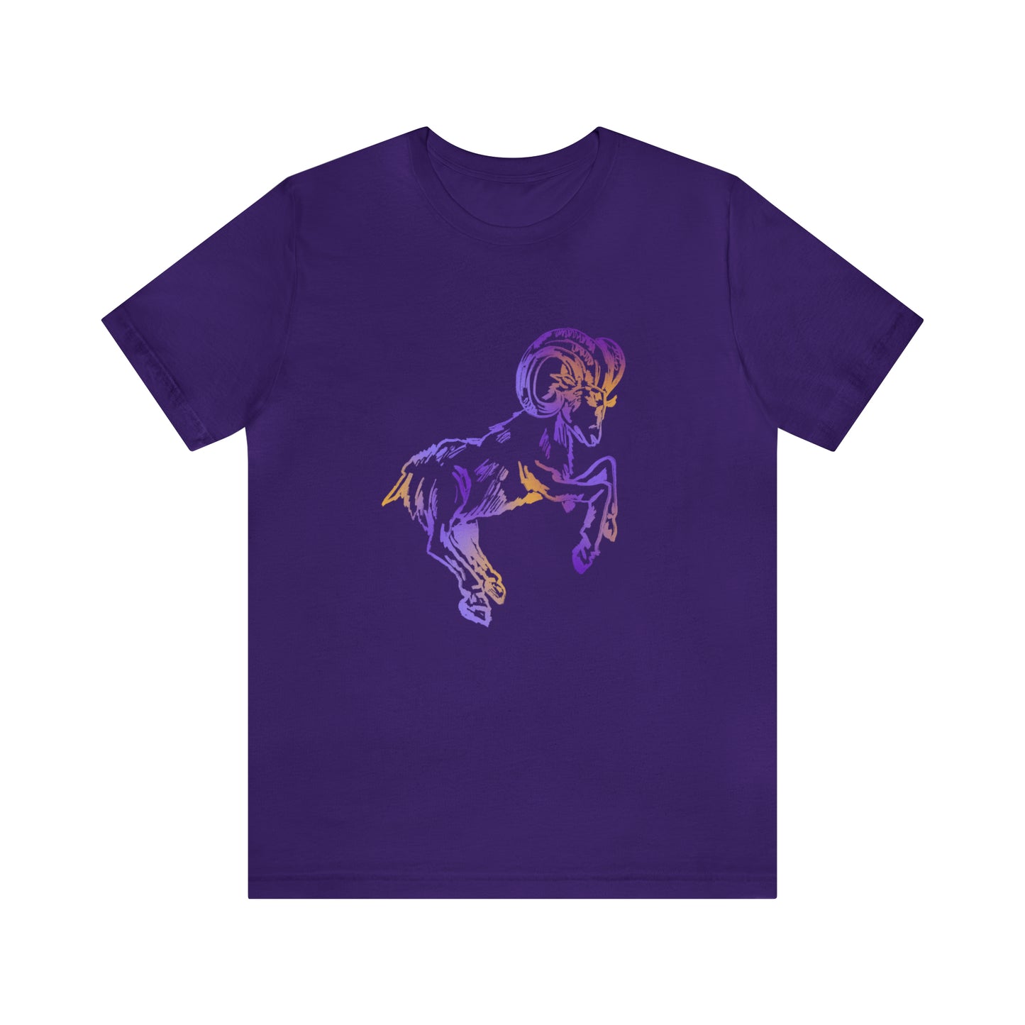summer t-shirt aries