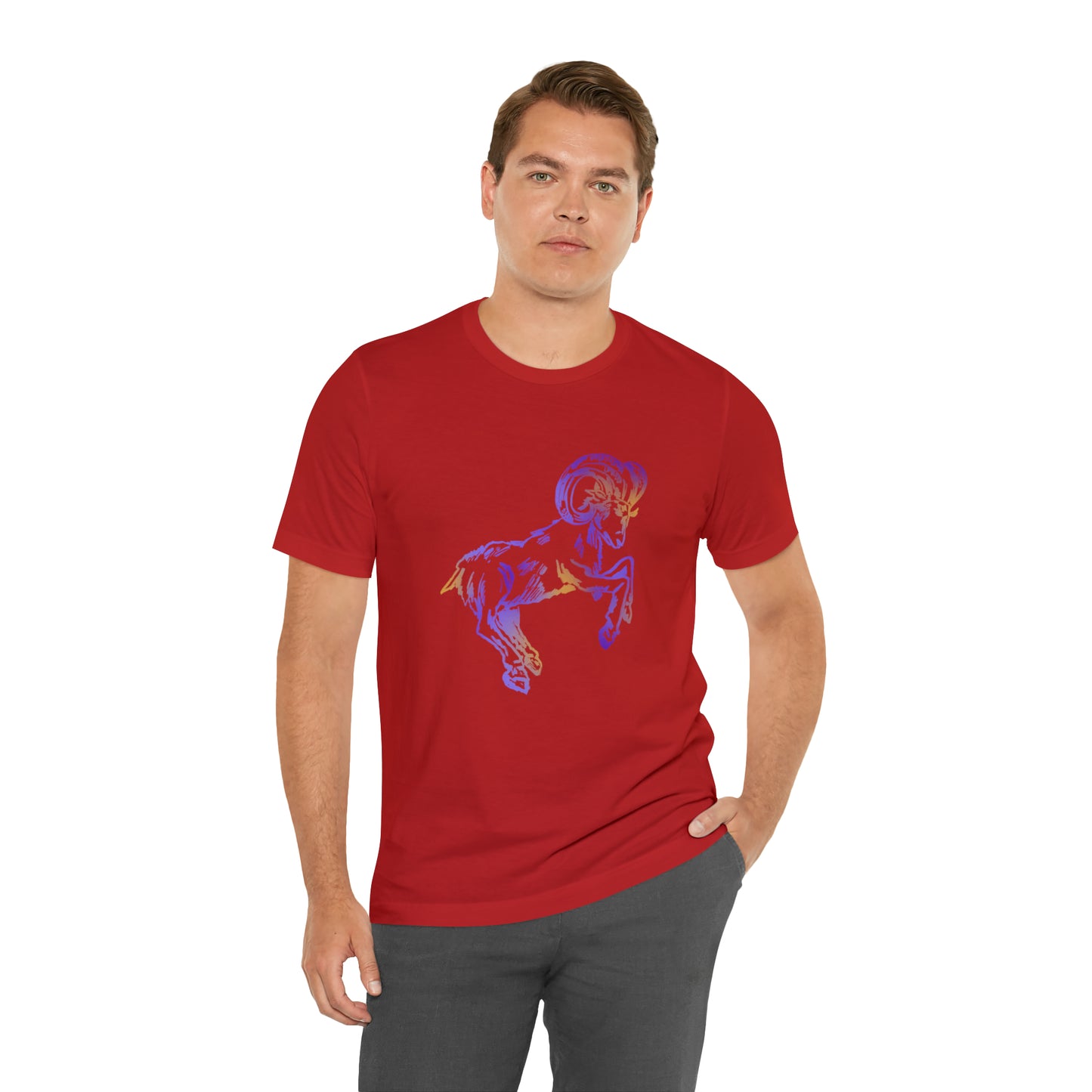 summer t-shirt aries