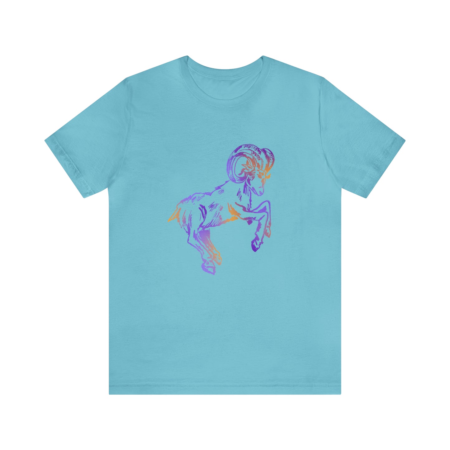 summer t-shirt aries