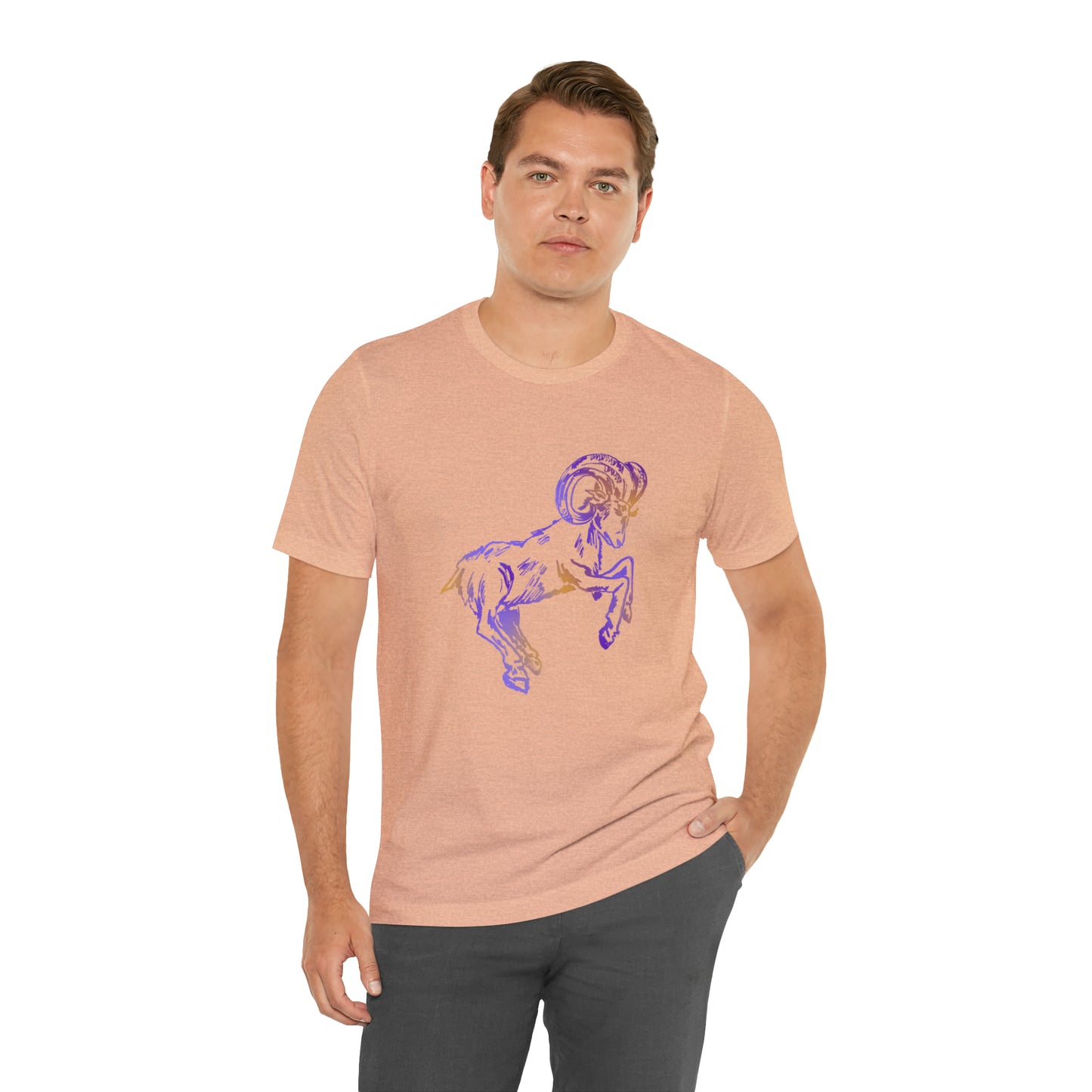 summer t-shirt aries