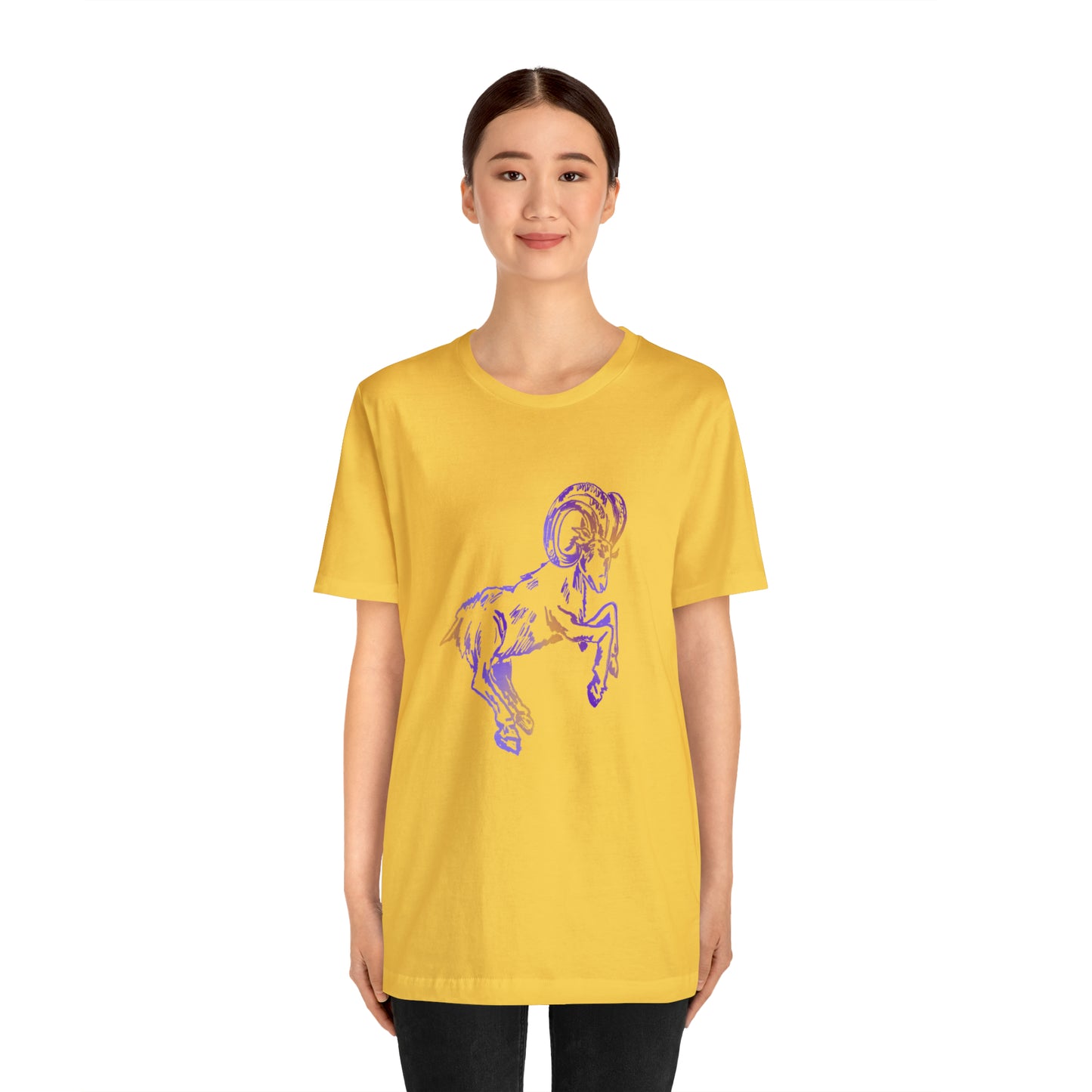 summer t-shirt aries