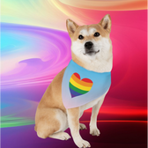 summer Pet Bandana Collar Pride