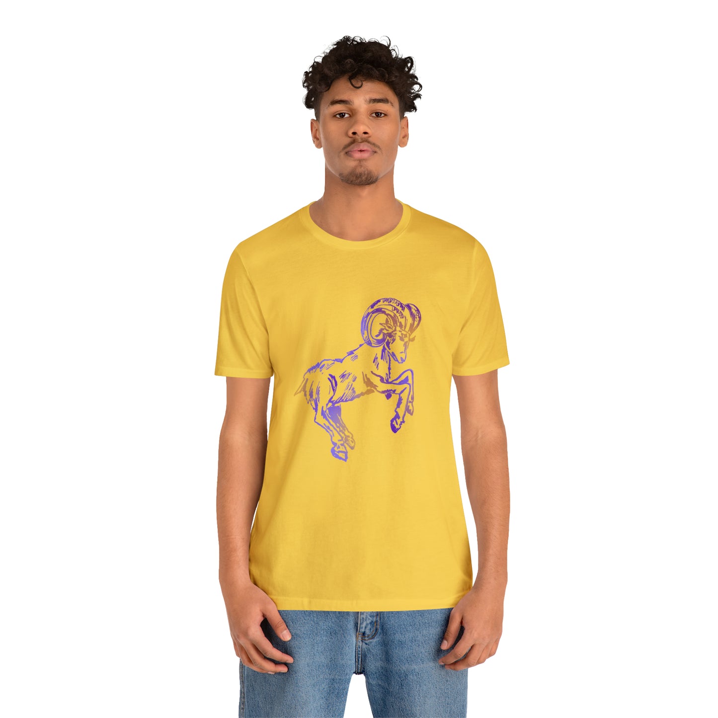 summer t-shirt aries