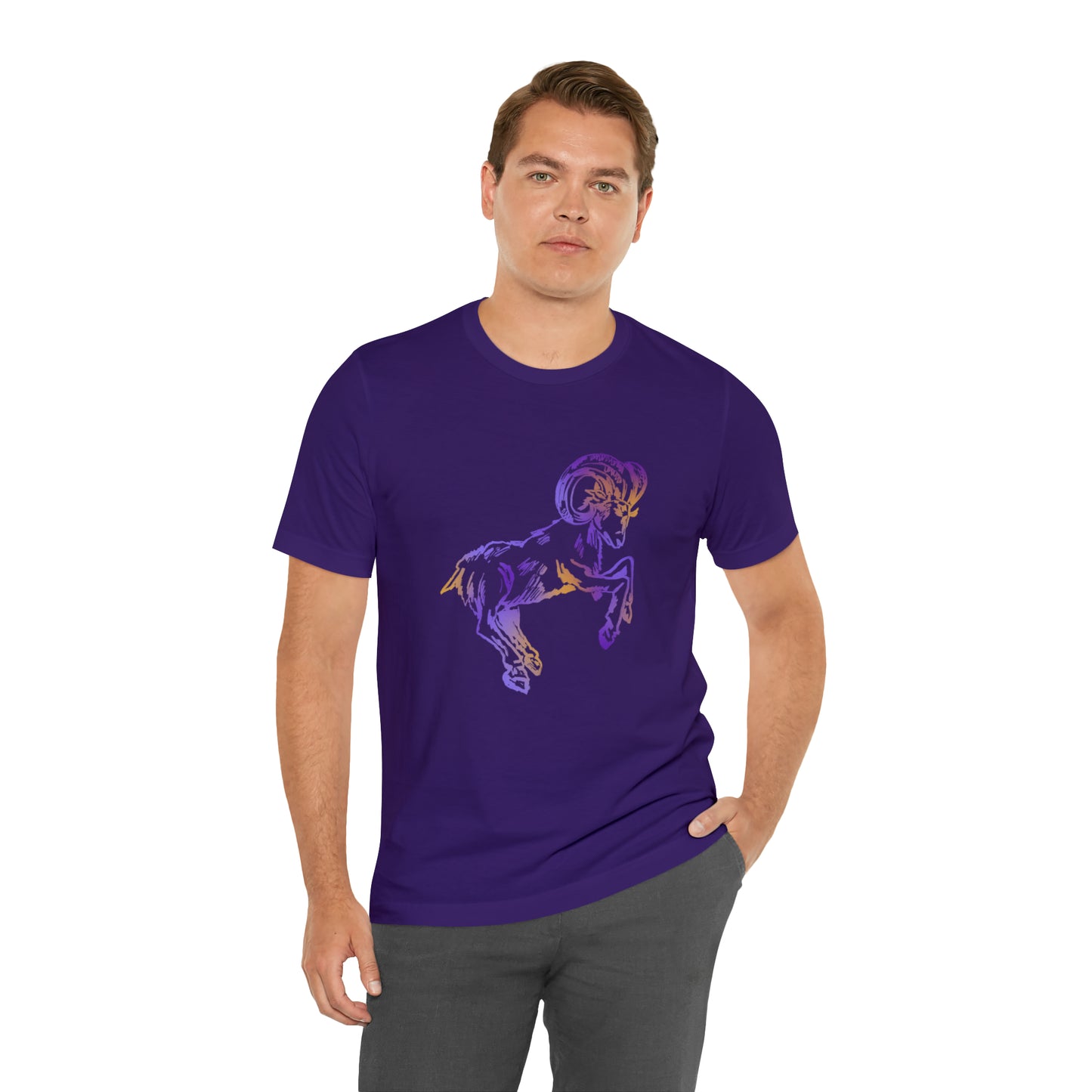 summer t-shirt aries