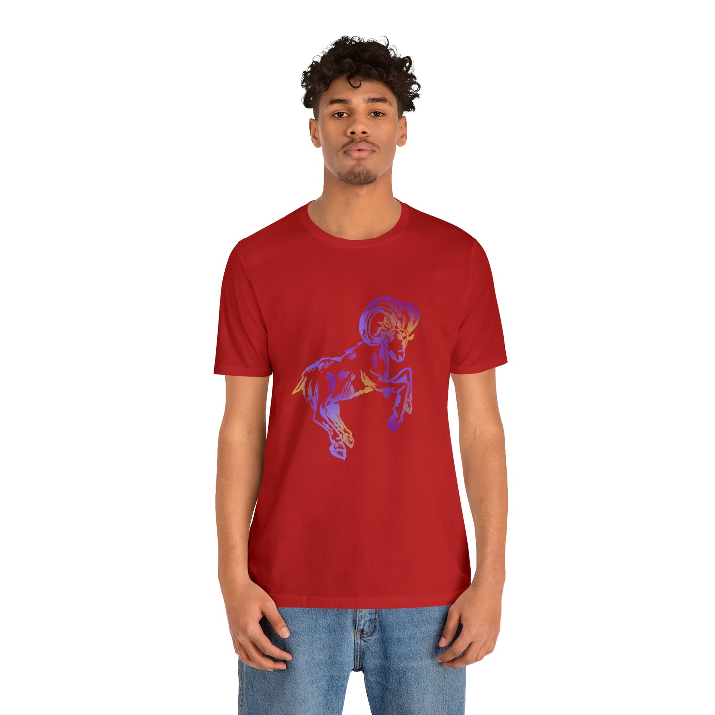 summer t-shirt aries