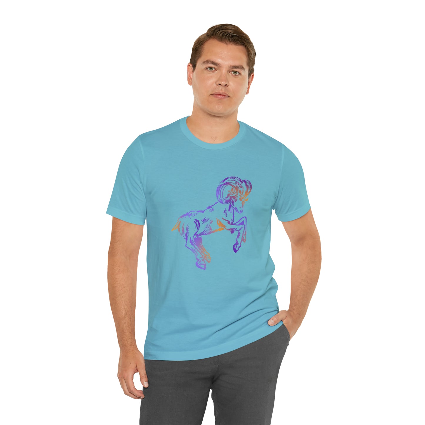 summer t-shirt aries