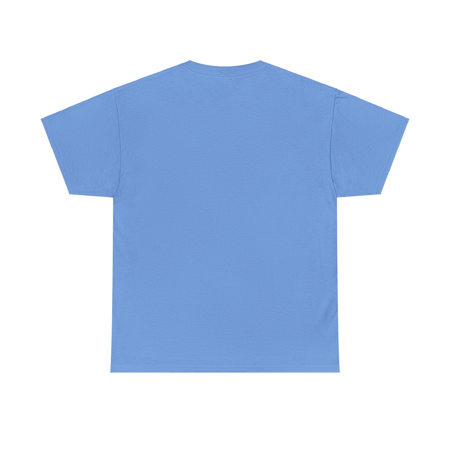 "The Teal One" t-shirt