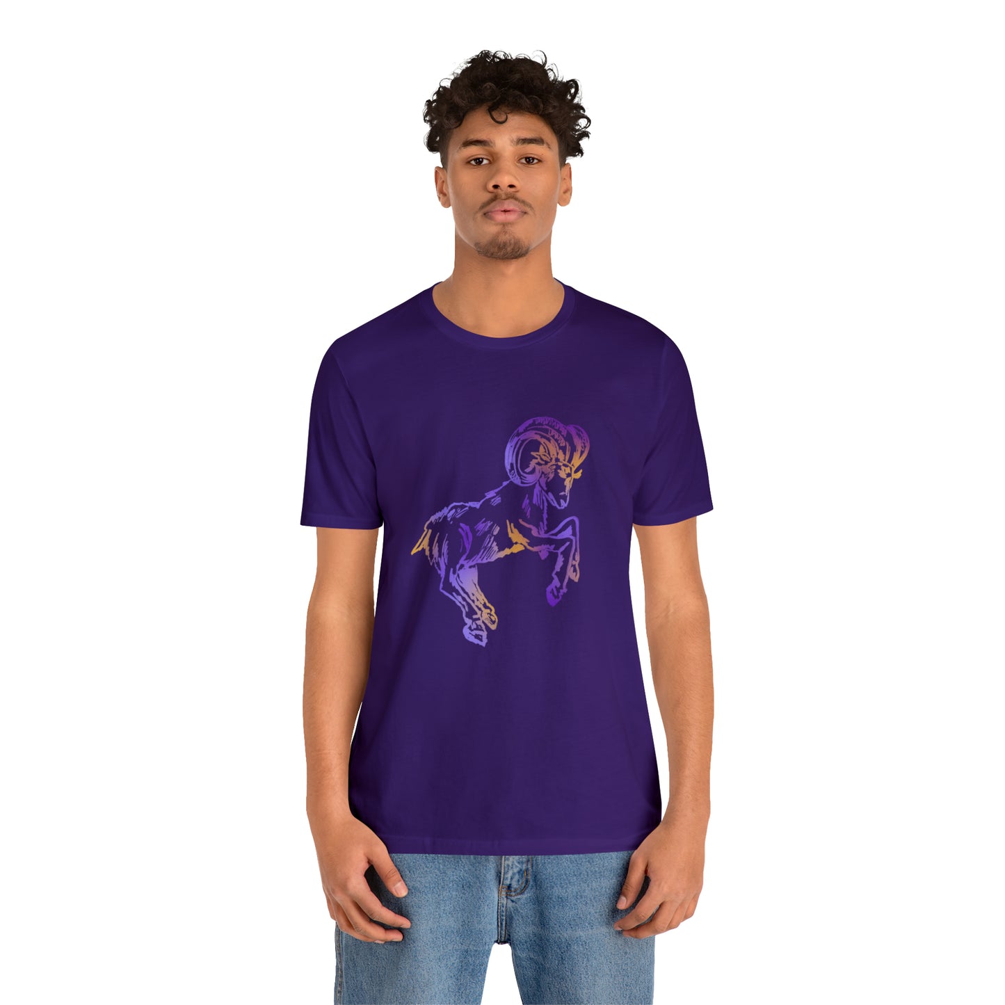 summer t-shirt aries