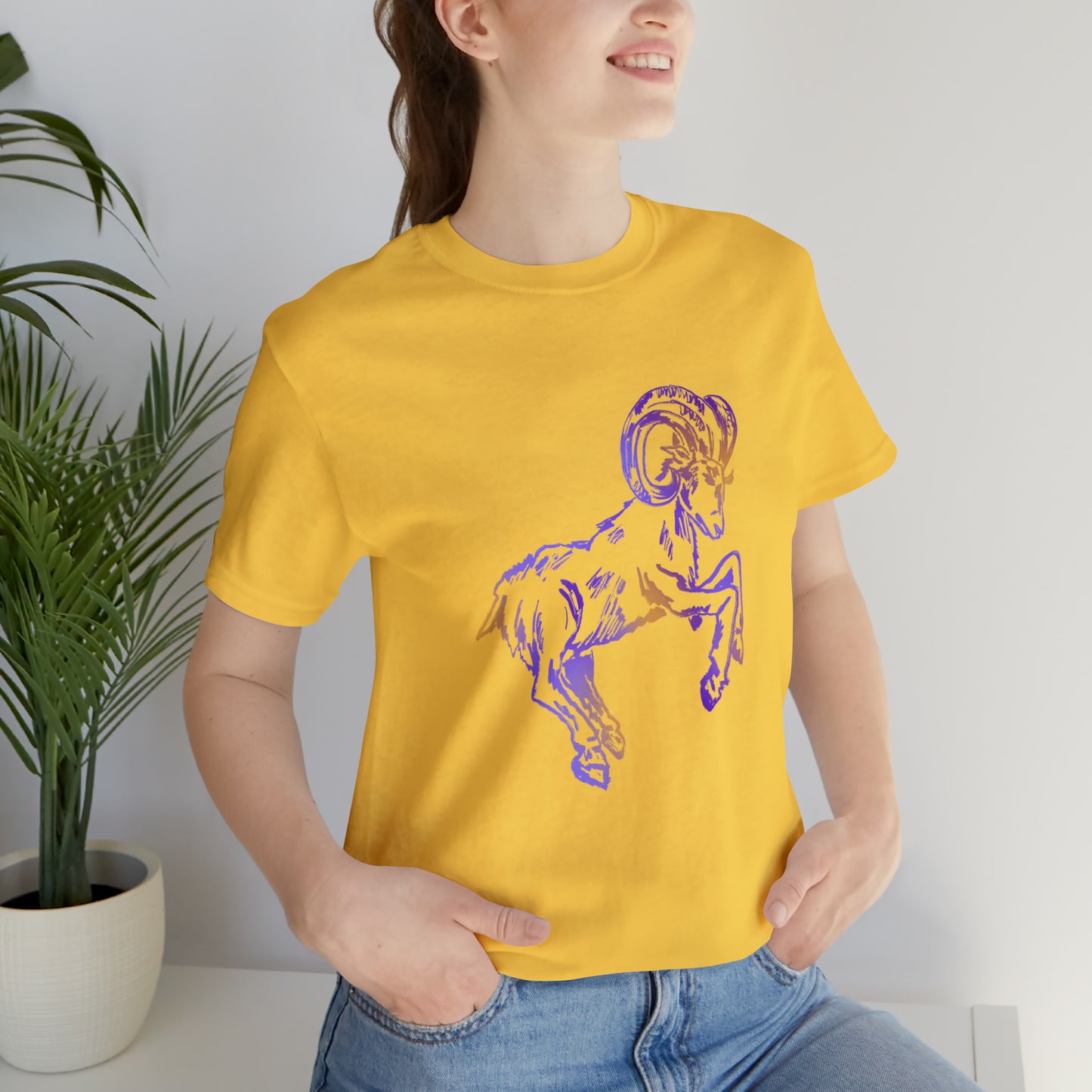 summer t-shirt aries