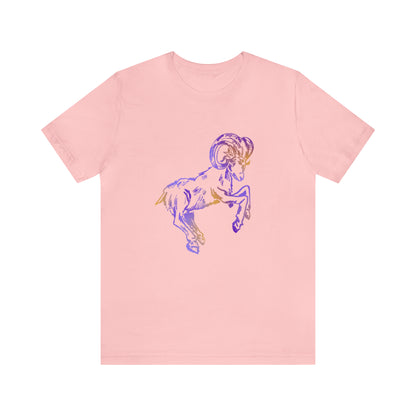 summer t-shirt aries